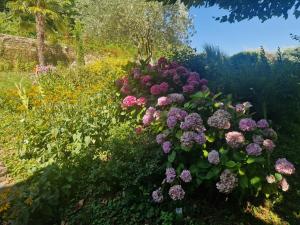 un jardin avec des fleurs violettes et roses dans l'établissement DOMAINE DES FRANCHISES - Beaujolais Village - Charme et authenticité au cœur des Pierres dorées, à Denicé