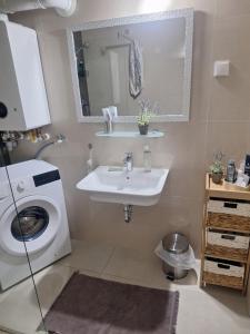 Kúpeľňa v ubytovaní Apartman Pepper + 24 fotografií