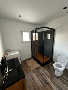 a bathroom with a shower with a toilet and a sink at La Perle in Mers-les-Bains +28 photos