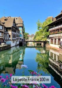 a river in a town with buildings and flowers at Hyper Centre Place Kléber Appart in Strasbourg