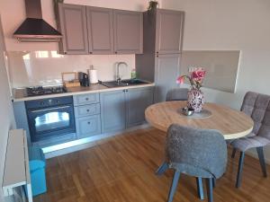 Kuchyňa alebo kuchynka v ubytovaní Apartman Pepper