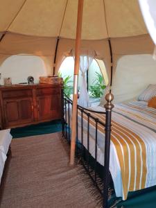 Fotografie z fotogalerie ubytování Wild Lotus Glamping v destinaci Georgetown