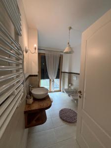 a bathroom with a sink and a toilet at Casa delle Orchidee in Feltre