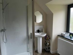a bathroom with a shower and a sink at Oldshorecroft in Sheigra