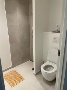a bathroom with a toilet and a shower at Marina Bay in Aalborg