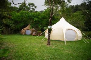 Fotografie z fotogalerie ubytování Wild Lotus Glamping v destinaci Georgetown