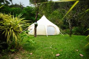Fotografie z fotogalerie ubytování Wild Lotus Glamping v destinaci Georgetown