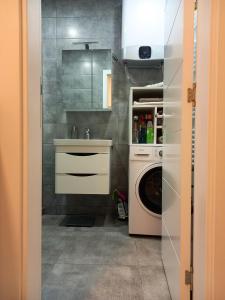 una cocina con fregadero y lavadora en Plava orhideja apartman, en Trebinje