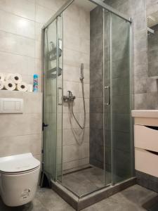 una cabina de ducha en un baño con inodoro en Plava orhideja apartman, en Trebinje 34 fotos más