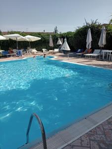 a large blue swimming pool with chairs and umbrellas at IL PICCOLO PARADISO in San Massimo