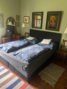 a bed with blue comforter in a bedroom at Apartmán Dům U Koulí in Prameny