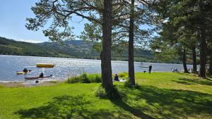 a group of people sitting on the shore of a lake at Knobelauch Family Home, Valdres in Vøle