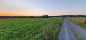 a dirt road in a field at sunset at Gîte château d'Espalungue, piscine et SPA in Dognen