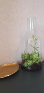 a glass jar with a plant in it next to a knife at Gîte château d'Espalungue, piscine et SPA in Dognen