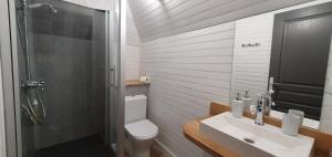 a bathroom with a toilet and a sink and a shower at Gîte château d'Espalungue, piscine et SPA in Dognen