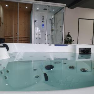 a glass table with a shower in a room at Gîte château d'Espalungue, piscine et SPA in Dognen
