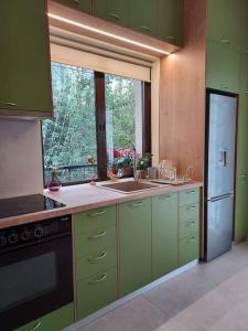 アテネにあるSunny studio near metroのキッチン(緑のキャビネット、シンク、窓付)
