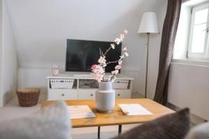 Televízia a/alebo spoločenská miestnosť v ubytovaní Hotel Bouda Helena