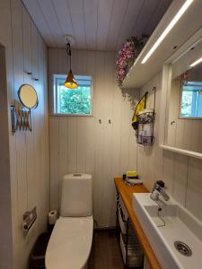 a small bathroom with a toilet and a sink at Pioni Apartment in Pietarsaari
