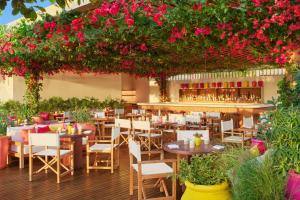 The Riviera Maya EDITION at Kanai 레스토랑 또는 맛집 사진 37개 이상