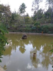 Gallery image of Apto ideal con hermosa vista in Puente Nacional