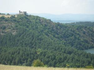 een heuvel met bomen en een kasteel erop bij Ténorilo in Saint-Victor-sur-Loire