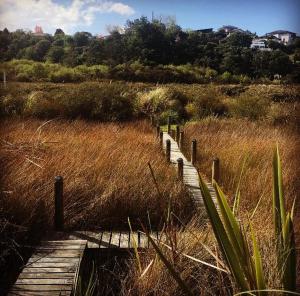 陶朗加Uniqueness的穿过高大的草地的木道