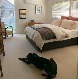 Ein schwarzer Hund liegt auf dem Boden neben einem Bett. in der Unterkunft Ellerslie Cottage in Metcalfe