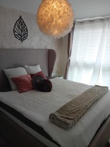 Ένα ή περισσότερα κρεβάτια σε δωμάτιο στο Cozy Chic Appart