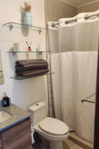 Ένα μπάνιο στο Departamento en zona sur con Alberca y Vistas Panorámicas