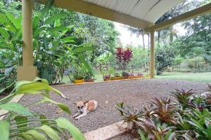 Gallery image of VILLA ANACAHUITA, Limonal in Jarabacoa