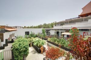 a courtyard with potted plants and a building at Acogedor estudio en la laguna in La Laguna