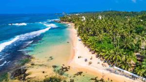 an aerial view of a beach with palm trees at FS Hotel & villa in Arugam Bay +62 photos