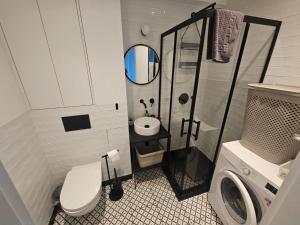 Un baño pequeño con inodoro y lavabo. en TG Loft Apartments, en Tarnowskie Góry