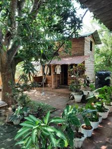 Zahrada ubytování Serenity house in Dambulla