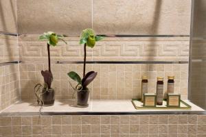 a shelf in a bathroom with two plants and candles at Hotel Doltso in Kastoria