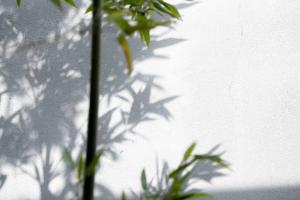 Fotografie z fotogalerie ubytování 雲川居 Unsenkyou v Kjótu
