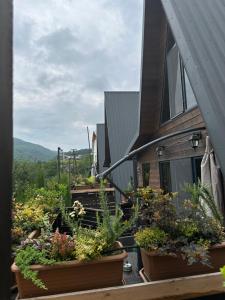 Fotografie z fotogalerie ubytování cottage Ninika surami v destinaci Surami