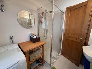 un baño con ducha y lavabo en 018 Bilocale in centro, Pinzolo, en Pinzolo