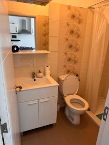 a small bathroom with a toilet and a sink at Apartman Žanić Crikvenica with Hot tub in Crikvenica