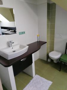 a bathroom with a sink and a toilet at Apartments 2 Ubytování u kostela, Sedlo in Číměř