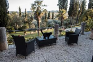 a black cat sitting on a table on a chair at Villa Il Poggio in Sinalunga