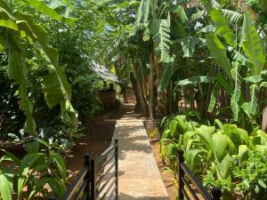 Giardino di Mango Tree House