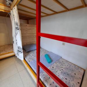 The Backyard Hostel客房内的一张或多张双层床