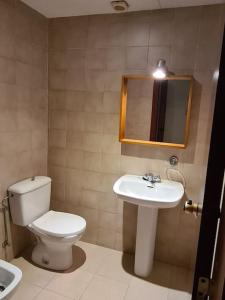 Un baño con inodoro, lavabo y espejo. en Magnífic dúplex amb doble terrassa, en Sant Joan de les Abadesses