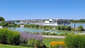 O vedere a unui râu din apropierea apartamentului