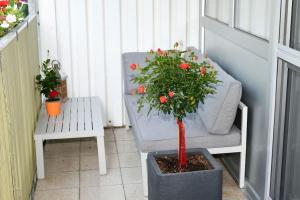 Un balcon sau o terasă la Apartment in Tulln an der Donau