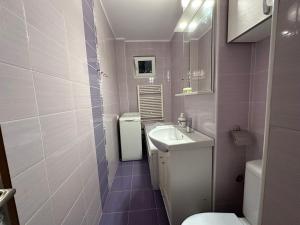 a bathroom with a white sink and a toilet at Zlata Cozzy Apartment USV in Suceava