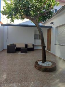 a tree in the middle of a room at La Casita de Pela in Navalvillar de Pela