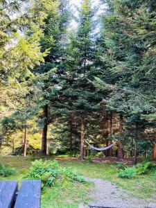 Vonkajšia záhrada v ubytovaní Silence Glamp - Glamping Bieszczady